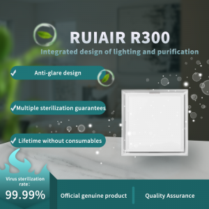 Deodorizing Plasma Air Purifier