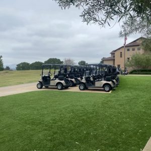 48V Golf Cart Battery