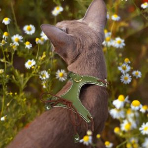 Lightweight Rustic Brown Pet Harness: Stylish Comfort for Daily Outings HH530