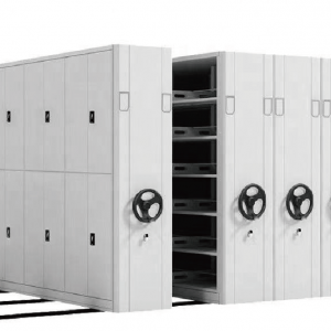 Intelligent Government Firearms Management Solution for Secure Weapon Storage and Control