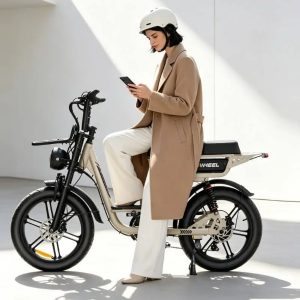Lady-Friendly Fat Tire Electric Commuter Bike for Urban Mobility and Leisure Riding