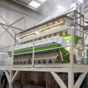 Corn Kernel Sorting Machine: Which One Works Best In 2026?